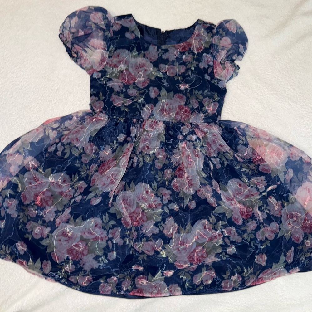 Rare Editions Navy and Pink Floral Dress